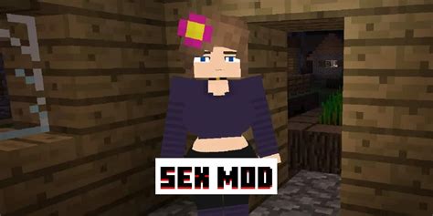 mincraft sex|minecraft